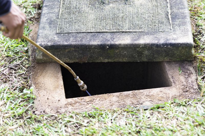 Rat Fumigation Service in Madison, WI